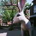 Jennifer Starkey Photo 37