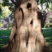 Susan Berryman Photo 28