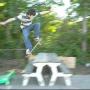 Sean Dawson Photo 34