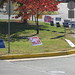 Debbie Shipp Photo 24
