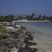 Debbie Hammock Photo 24