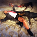 Dean Bush Photo 33