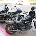Robert Rossi Photo 46