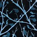 Christopher Oaks Photo 24
