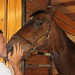 Bruce Carmen Photo 15
