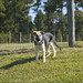 Glenn Shepherd Photo 39