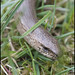 Dean Burrows Photo 28