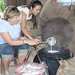 Caren Cook Photo 26