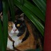 Eva Culp Photo 21