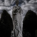 John Gaddy Photo 37