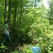 Michelle Wilfong Photo 19