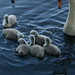 Claudia Peck Photo 27