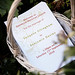 Suzanne Davies Photo 40
