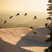 Jeff Mcrae Photo 33
