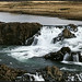 David Stutts Photo 21
