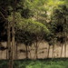 Zhou Zheng Photo 32