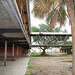 Francine Jackson Photo 46