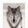 Jacob Hackett Photo 15