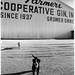 Stephen Schafer Photo 36