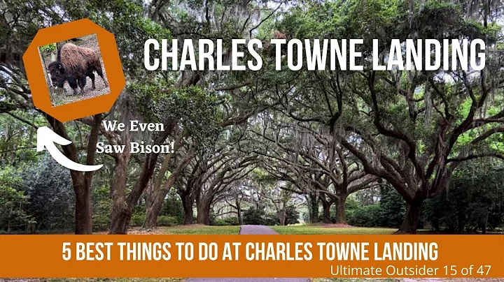 Charles Towne Photo 10
