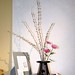 Carol Blom Photo 20