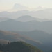 Peter Casale Photo 32