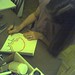 Andrea Shaver Photo 29