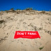 Adam Sand Photo 28