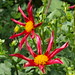 Marie Mcnulty Photo 28