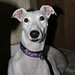 Robin Grabowski Photo 22