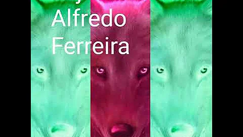 Alfredo Ferreira Photo 30
