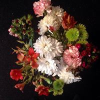 Donna Kessler Photo 8