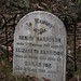 Elizabeth Harrison Photo 50