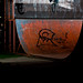 Craig Mcguire Photo 38