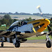 Velma Crews Photo 13