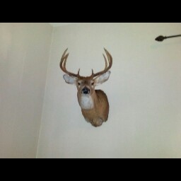 Timothy Brock Photo 13