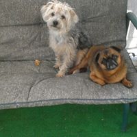 Diane Trudel Photo 5