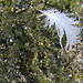 Bruce Feathers Photo 15