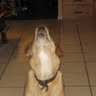 Nicole Chenevert Photo 5
