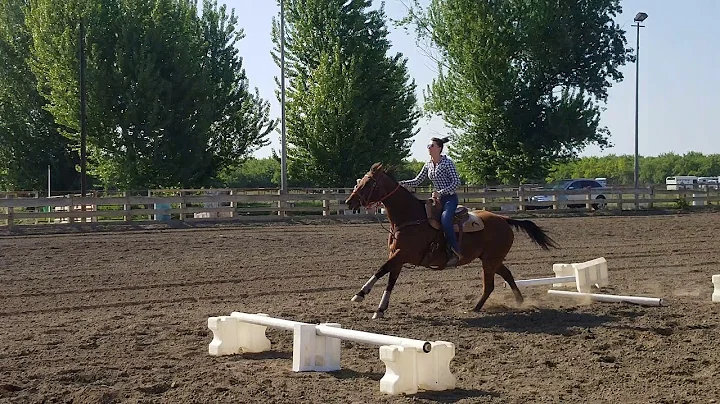 Savannah Knowles Photo 14