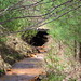 Ronald Mines Photo 14