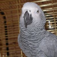 Phoebe Bailey Photo 5