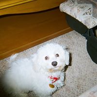 Glenda Smith Photo 6