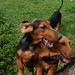 Brandy Tubby Photo 13