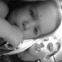 Joshua Shannon Photo 31