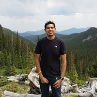 Alex Avila Photo 2