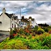 Alexander Maclean Photo 28