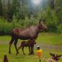 Mark Cowley Photo 26