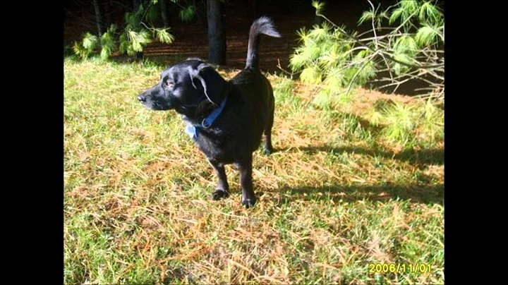 Cherie Middleton Photo 17