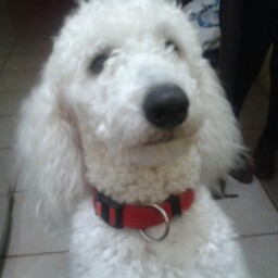 Patricia Poblete Photo 14